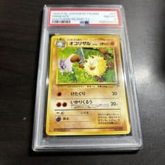 psa8 1999 旧裏 サザンアイランド オコリザル No.057 - メルカリ