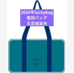 乃木坂46 限定 個別バッグ 五百城茉央 バック 2026 luckybag - メルカリ
