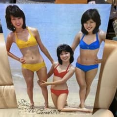 アイドル キャンディーズ ビキニ姿のポスター 木製 パネル レア - メルカリ