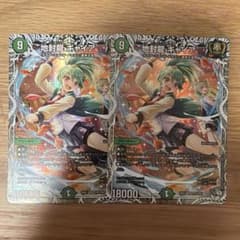 地封龍ギャイア キャラプレミアムトレジャー 2枚セット - メルカリ