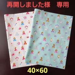 ランチョンマット、ランチクロス【2枚セット】☆姫、ピクセル柄☆25×35