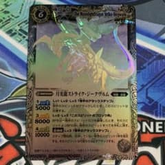 m37920320507_1.jpg?1718661148