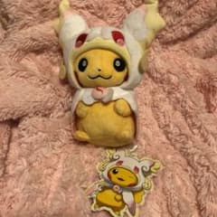 ポケモンセンター メガタブンネのポンチョ ピカチュウ ポケモン