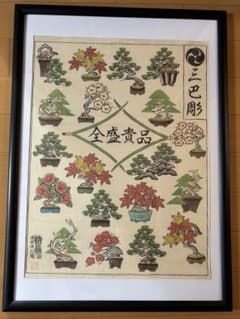 三巴彫盆栽ポスター 濱本祐介 トラッドマンズ ネイバーフッド tradmans