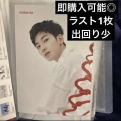 ウォヌ 24h フライヤー 渋谷タワレコ限定 SEVENTEEN セブチ レア