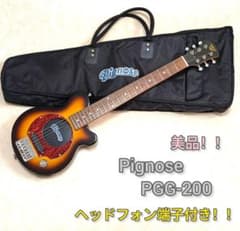 TEISCO EG-SW2 スチールギター 動作品 JAPAN | Shop at Mercari from