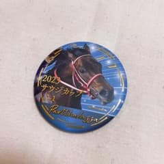逃げ馬缶バッジコレクション パンサラッサ 缶バッジ - メルカリ