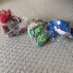 ポケモンfit グラードン カイオーガ レックウザ 旧タグ - メルカリ