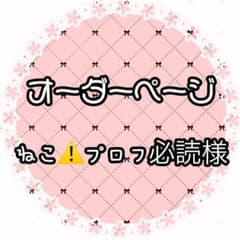 ねこ⚠️プロフ必読様専用ページ - メルカリ