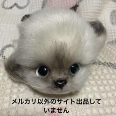 昭和レトロ リーベ社 猫 寝そべりポーズ ぬいぐるみ 中古品 - メルカリ
