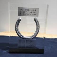 ディープインパクト蹄鉄の盾 強化プラスチッククリスタル - メルカリ