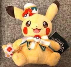 ポケパークカントー ピカチュウ ぬいぐるみ ポケモン