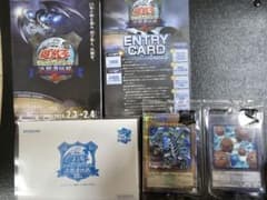 美品]遊戯王2024 東京ドーム ブルーアイズ 封筒カードセット - メルカリ