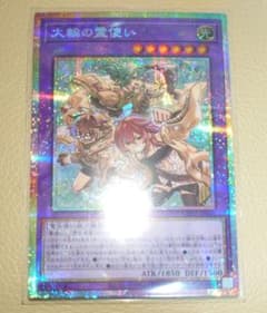 遊戯王 大輪の霊使い プリシク プリズマティックシークレットレア