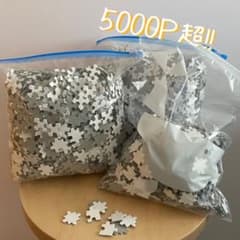 未使用品】5005P ホワイト ジグソーパズル 特注品 アート 美術 白地図