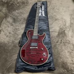 シェクター ギター EMG ケース付き - メルカリ
