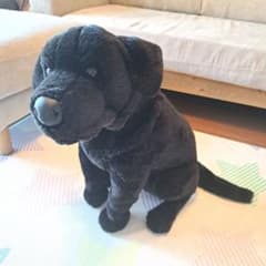ラブラドール アニマルアレイ ぬいぐるみ ブラック 等身大 ビッグ