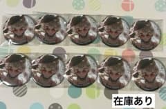 プロセカ グリッター 缶バッジ 小豆沢こはね 44B 10個 セット - メルカリ