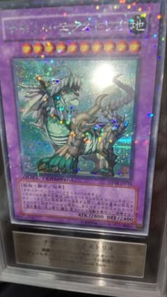 m88092499309_1.jpg?1747787271