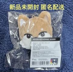 NEXZ NEXZOO ぬいぐるみ キーリング ソゴン 未開封 匿名配送 - メルカリ