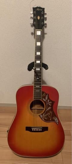 モーリス ハミングバード ヴィンテージアコースティックギター WH-25