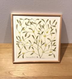 botanical ヤドリギ｜coricciコリッチ（IDEE イデー） - メルカリ
