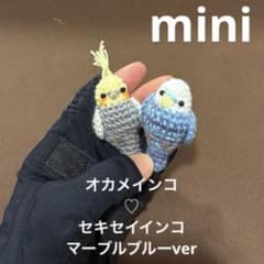 ◇ オカメインコ♡セキセイインコ♡インコ♡カラス♡文鳥 あみぐるみ