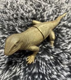 廃盤】KARE リザードブックエンド トカゲ45cm - メルカリ