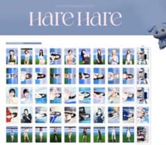 定価以下 TWICE Hare Hare ラントイ トレカ コンプ 50枚セット - メルカリ