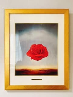 ダリ 瞑想する薔薇 アートパネル 額装 - メルカリ
