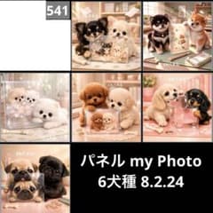 オーダーページ パネル my Photo 6犬種 8.2.24 - メルカリ