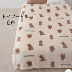 ジェラートピケ Sleep DOGプリント毛布 トイプードル ブランケット