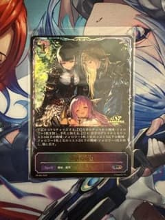 シャドウバースエボルヴ 鋼鉄の希望 プロモ - メルカリ