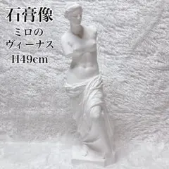 2026年最新】ヴィーナス 像の人気アイテム - メルカリ
