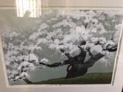 2026年最新】佐野せいじ 木版画の人気アイテム - メルカリ