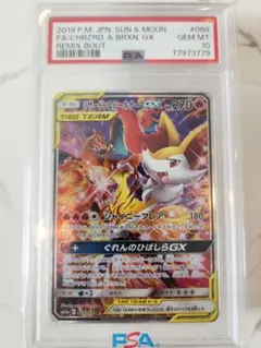 2026年最新】リザードン&テールナー sr psaの人気アイテム - メルカリ