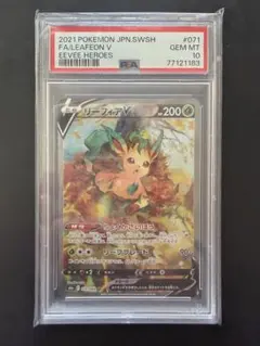 2026年最新】リーフィアv sr psa10の人気アイテム - メルカリ