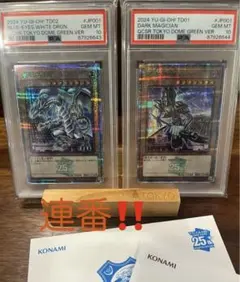 2026年最新】ブルーアイズホワイトドラゴン 東京ドームの人気アイテム