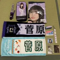 2026年最新】乃木フェス 菅原咲月の人気アイテム - メルカリ