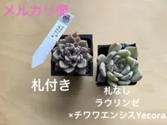 2026年最新】優木園の人気アイテム - メルカリ