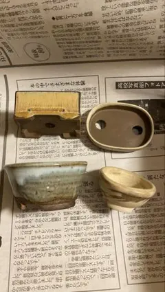 2026年最新】盆栽 鉢 落款の人気アイテム - メルカリ