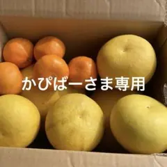 2026年最新】チャンドラポメロの人気アイテム - メルカリ