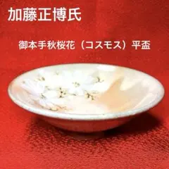 2026年最新】平盃の人気アイテム - メルカリ