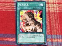 2026年最新】突然変異 遊戯王の人気アイテム - メルカリ