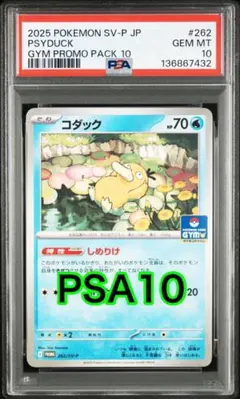 2026年最新】コダック 【SV-P 262/SV-P】の人気アイテム - メルカリ