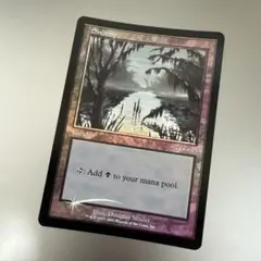 2026年最新】mtg 基本土地の人気アイテム - メルカリ