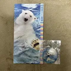 2026年最新】とべ動物園 ピースの人気アイテム - メルカリ
