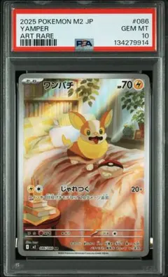 2026年最新】psa10 わんぱちの人気アイテム - メルカリ