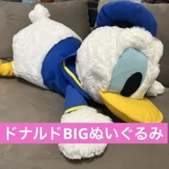 2026年最新】ドナルドダックBIGぬいぐるみの人気アイテム - メルカリ