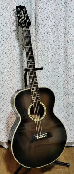 2026年最新】Takamine PT-105の人気アイテム - メルカリ